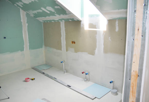 Best Mold Odor Removal Services  in Herrin, IL