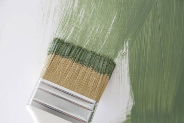 Best Mold Damage Restoration  in Herrin, IL