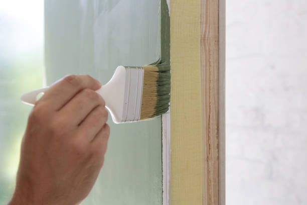 Reliable Herrin, IL Mold Removal Solutions