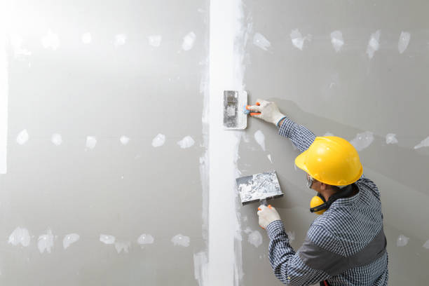 Best Water Damage & Mold Remediation  in Herrin, IL