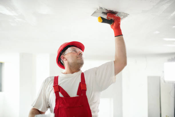 Best Real Estate Mold Inspection  in Herrin, IL