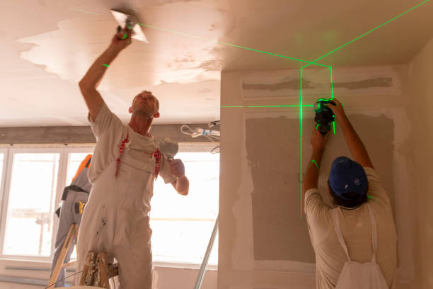 Best HVAC Mold Inspection and Cleaning  in Herrin, IL